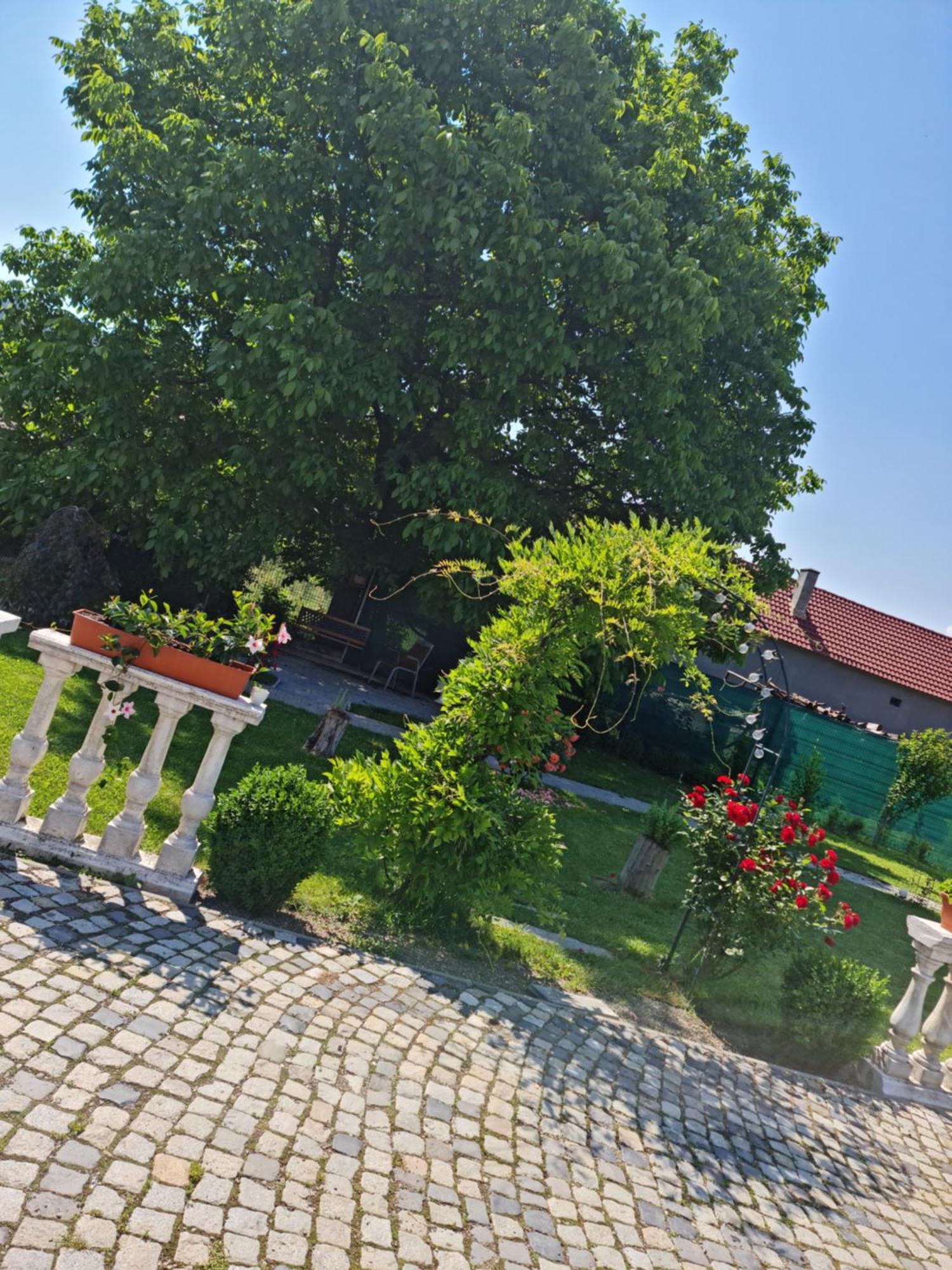 Pensiunea Baroc Dobirlau Luaran gambar